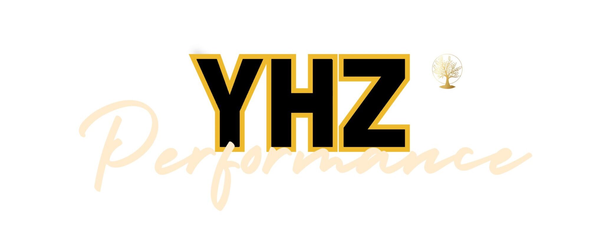 YHZ Performance - Profesjonalne Plany Treningowe MMA | Przygotowanie do Walki i Kondycja Wojownika